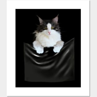 Ragamuffin Cat, Funny Cat Inside Pocket Posters and Art